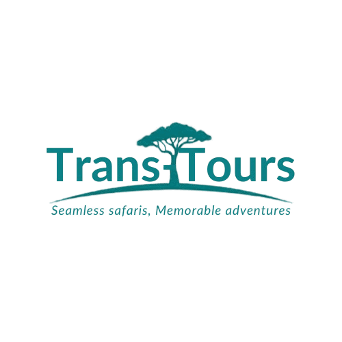 Trans-Tours Logo